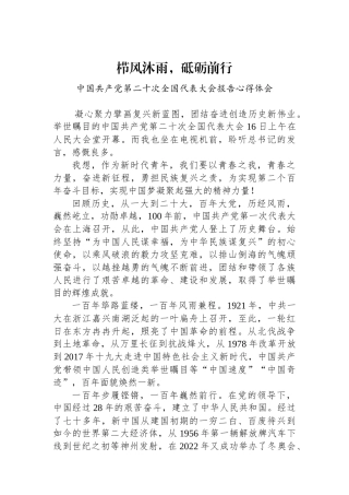 栉风沐雨，砥砺前行——二十大报告心得体会