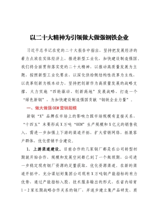 心得体会：以二十大精神为引领做大做强钢铁企业