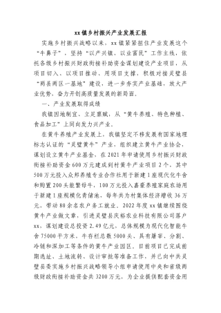 xx镇乡村振兴产业发展汇报