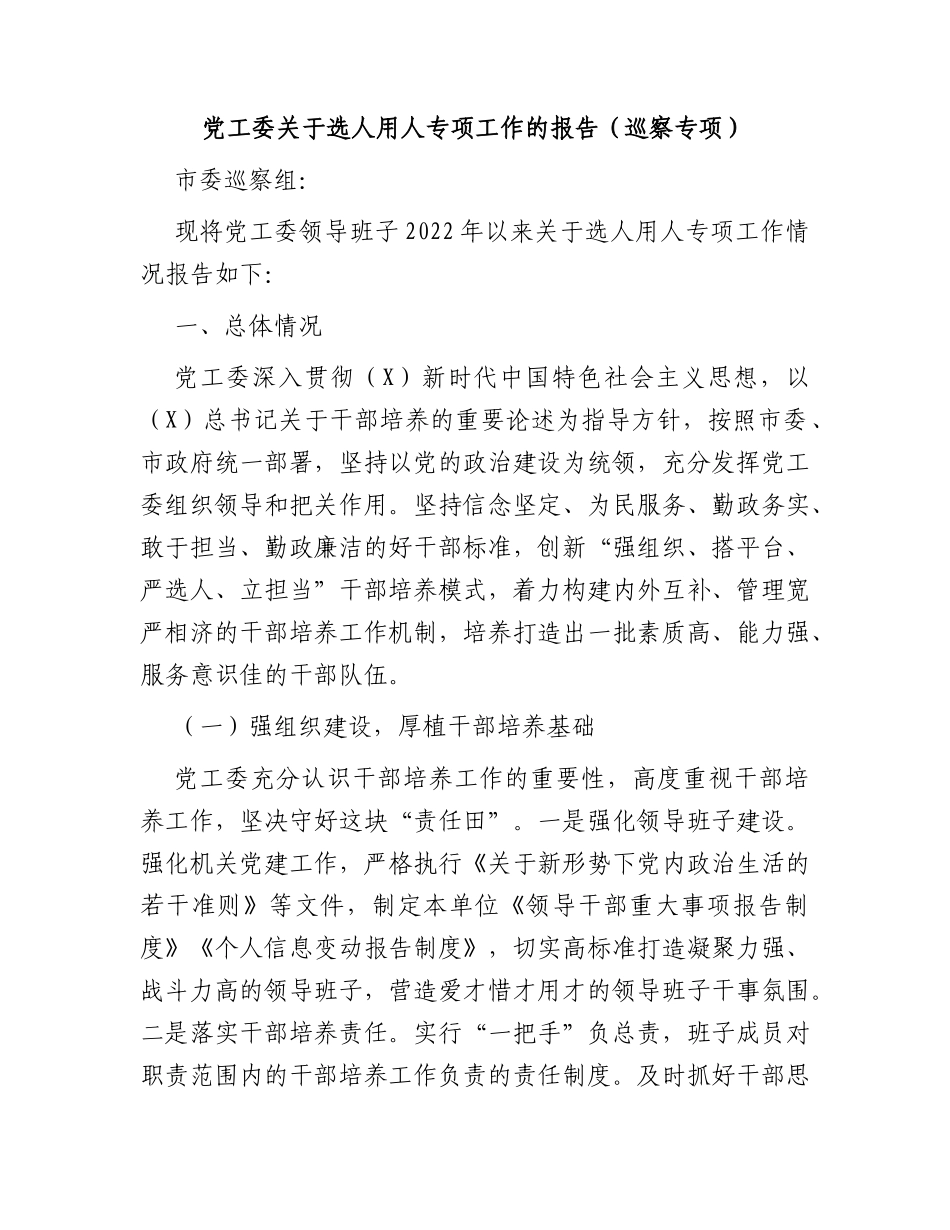 选人用人专项工作总结报告（巡察专项）_第1页