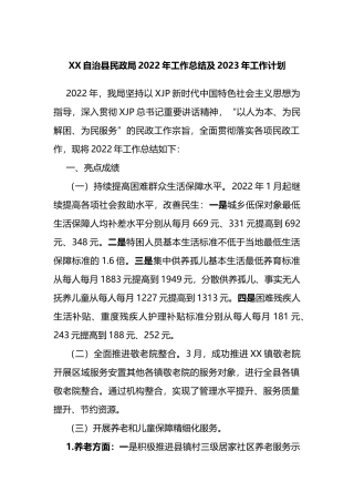 XX自治县民政局2022年工作总结及2023年工作计划