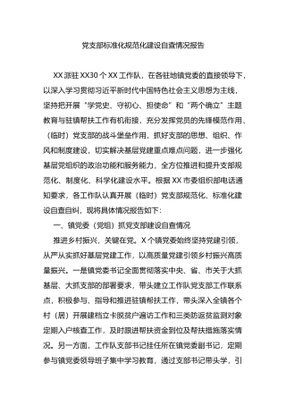 党支部标准化规范化建设自查情况报告