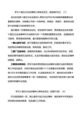 学习新疆十届五次全会精神心得体会7篇