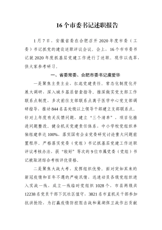 （16个）市委书记述职报告