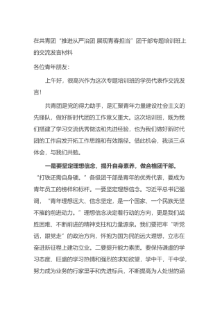 在共青团“推进从严治团+展现青春担当”团干部专题培训班上的交流发言材料
