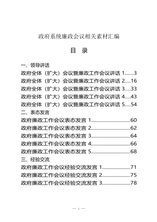 （21篇）政府系统廉政会议资料汇编 表态 经验交流  扩大会议