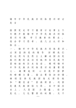 4篇铸牢中华民族共同体意识专题研讨发言