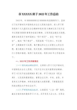 市XXXXX班子2022年工作总结