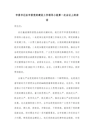 市委书记在市委党的建设工作领导小组第一次会议上的讲话