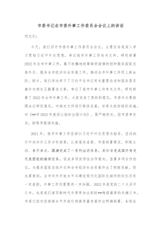 市委书记在市委外事工作委员会会议上的讲话