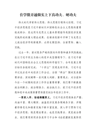 在学懂弄通做实上下真功夫、硬功夫（经济思想）