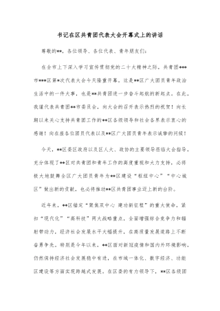 书记在区共青团代表大会开幕式上的讲话