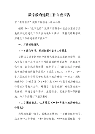 数字政府建设工作自查报告