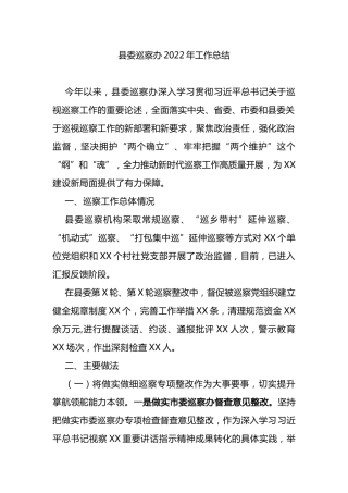 县委巡察办2022年工作总结