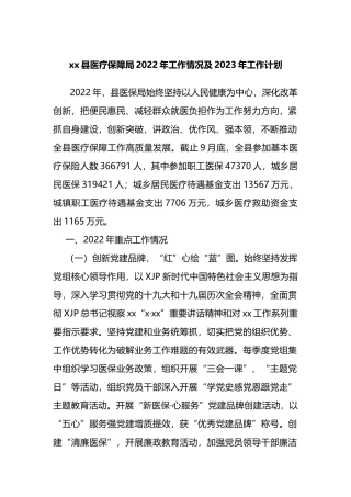 县医疗保障局2022年工作情况及2023年工作计划