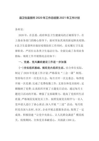 【总结计划】县卫生监督所2020年工作总结暨2021年工作计划