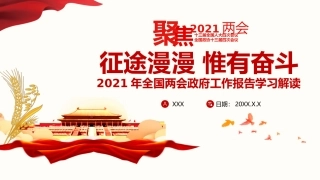 2021年全国两会政府工作报告学习解读