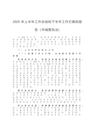 2020年上半年工作总结和下半年工作打算的报告 市城管执法