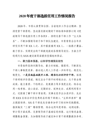 2020年度干部选拔任用工作情况报告