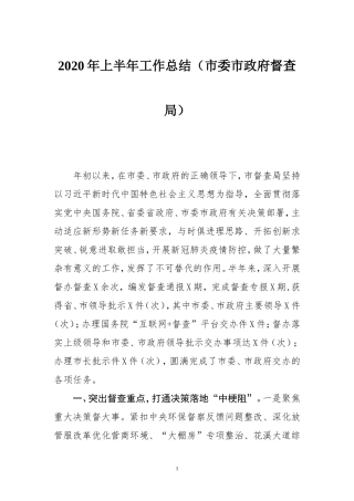 2020年上半年工作总结市委市政府督查局(0002)