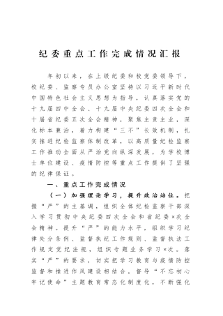 2020年度纪委重点工作完成情况汇报