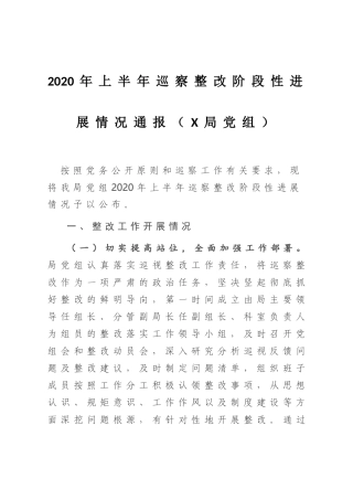 2020年上半年巡察整改阶段性进展情况通报（X局党组）