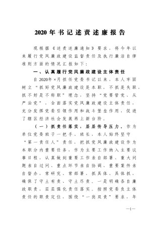 2020年书记述责述廉报告
