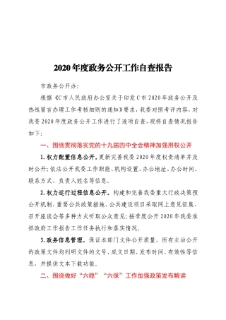 2020年度政务公开工作自查报告