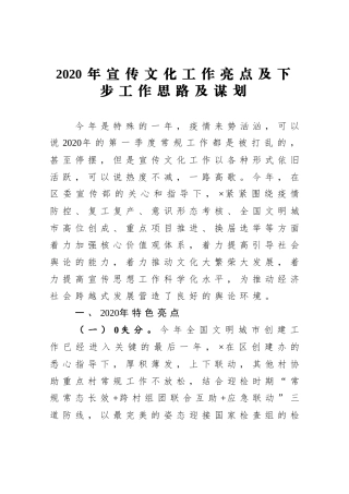 2020年宣传文化工作亮点及下步工作思路及谋划