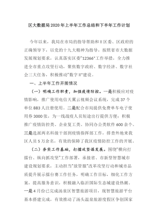 【工作总结】区大数据局2020年上半年工作总结和下半年工作计划