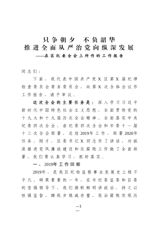 2020年纪委全会工作报告