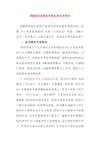 2020政治建设考察自查自评报告中心党委