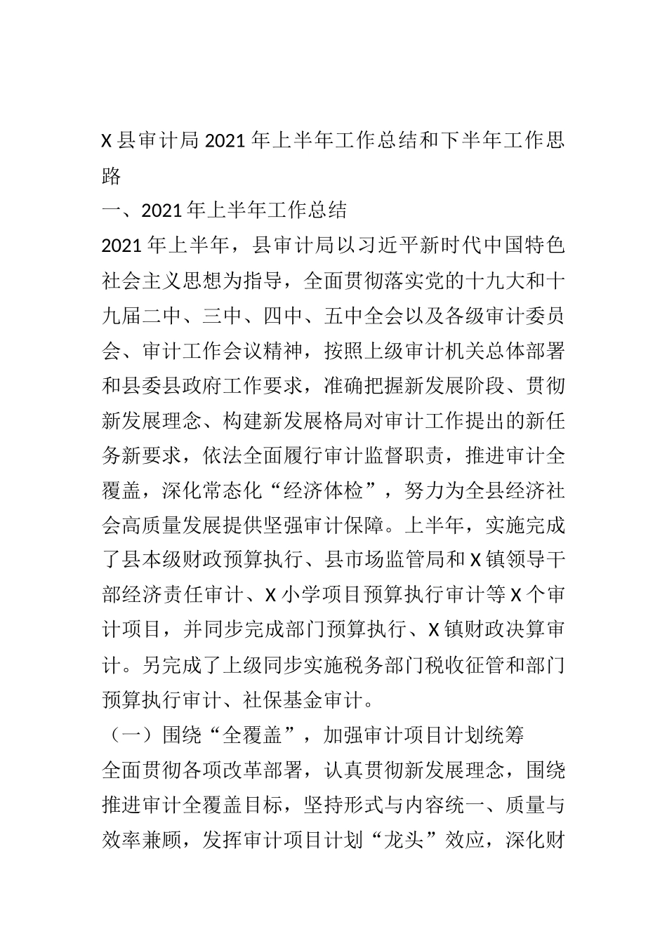 X县审计局2021年上半年工作总结和下半年工作思路_第1页