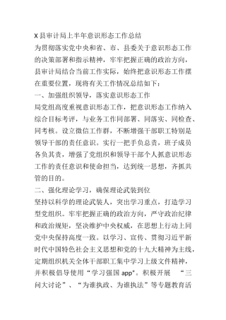 X县审计局上半年意识形态工作总结