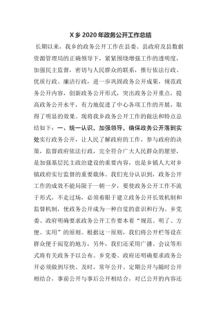 X乡2020年政务公开工作总结