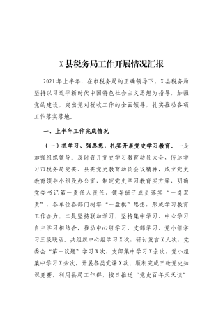 2021年X县税务局工作开展情况汇报