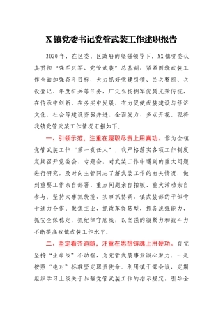 X镇党委书记党管武装工作述职报告