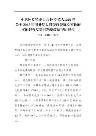 阿党镇年国务院大督查自查阶段省政府实地督查反馈问题整改情况的报告