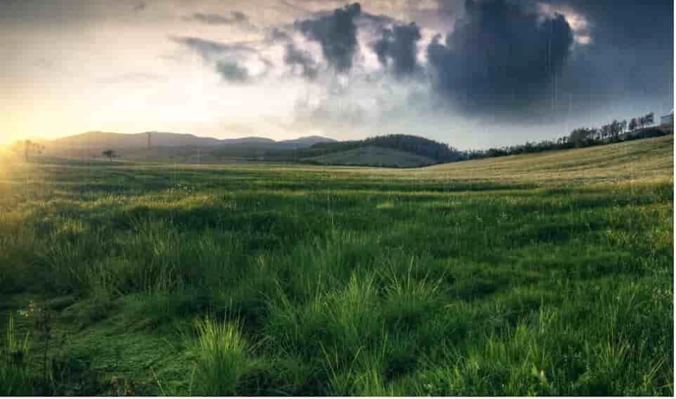 安全管理应学习贯彻的文件法规解读PPT_第2页