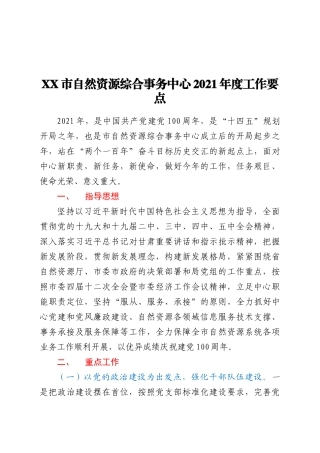XX市自然资源综合事务中心2021年度工作要