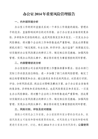办公室年度重要风险管理报告