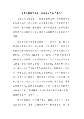 党的知识红旗渠专题进修学习体会