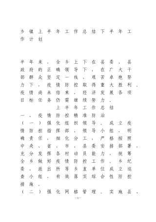 XX镇2020年上半年工作总结下半年工作计划