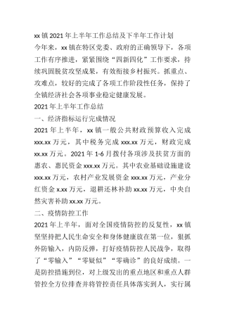 xx镇2021年上半年工作总结及下半年工作计划
