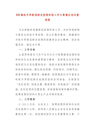XX镇秋冬季新冠肺炎疫情防控工作方案暨应急处置预案