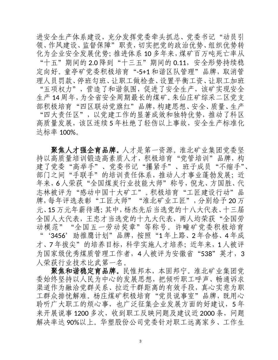 擦亮“红色名片”  助力企业发展（高质量经验材料）_第3页