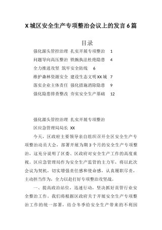 X城区安全生产专项整治会议上的发言6篇