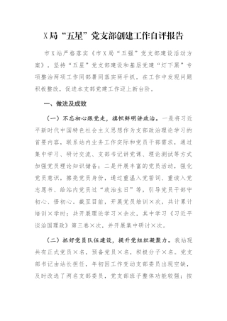 X局“五星”党支部创建工作自评报告