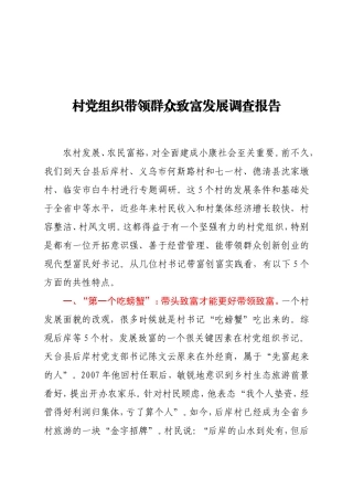 村党组织带领群众致富发展调查报告
