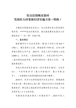 村集体经济“一村一策”方案模板 - 副本